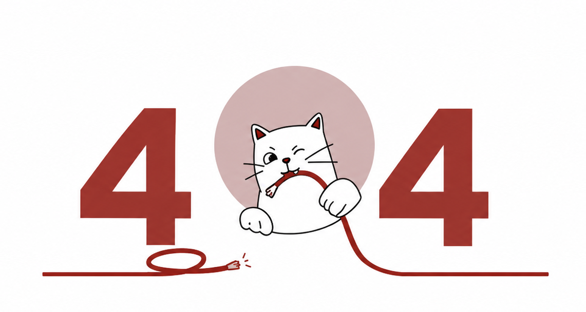 404 Kedi